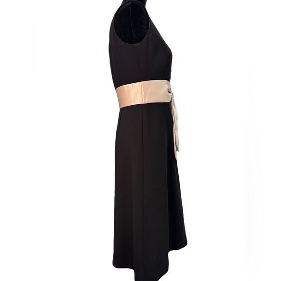 Ann Taylor Evening Dress (4) - Picture 4 of 6